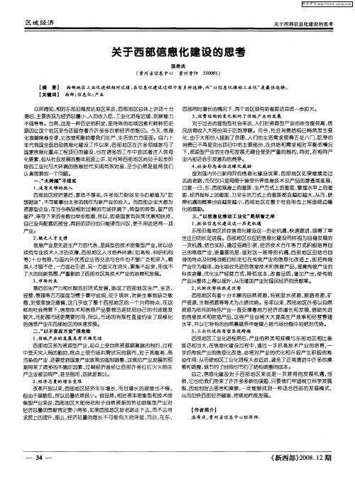 关于西部信息化建设的思考