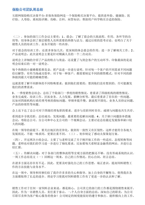 保险公司团队介绍范文