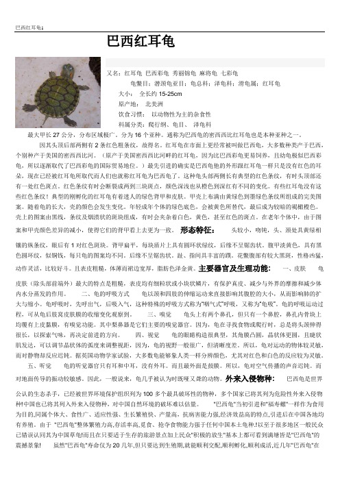 巴西红耳龟