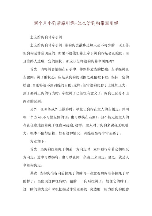 两个月小狗带牵引绳-怎么给狗狗带牵引绳