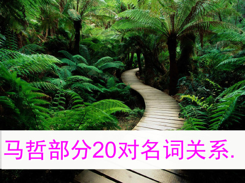 马哲部分20对名词关系