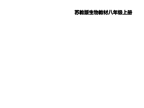 苏教版初中生物八年级上册 5.14.3 神奇的微生物 课件(共24张PPT)