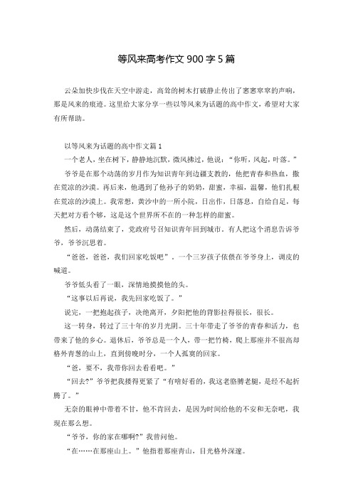 等风来高考作文900字5篇