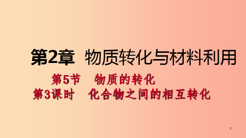 九年级科学上册 第2章 物质转化与材料利用 第5节 物质的转化 第3课时 化合物之间的相互转化课件 