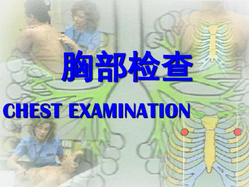 胸部检查—肺(附件)