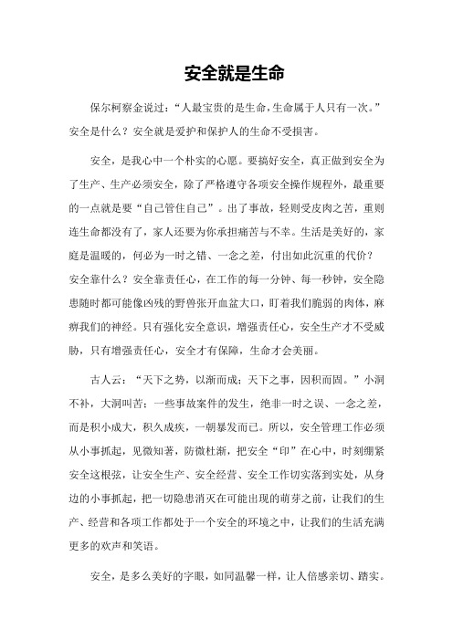 安全就是生命