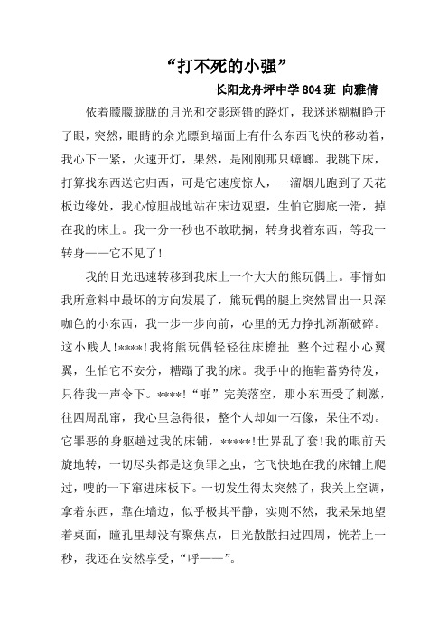 打不死的小强
