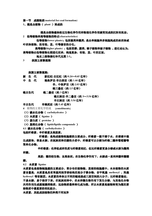 煤的形成