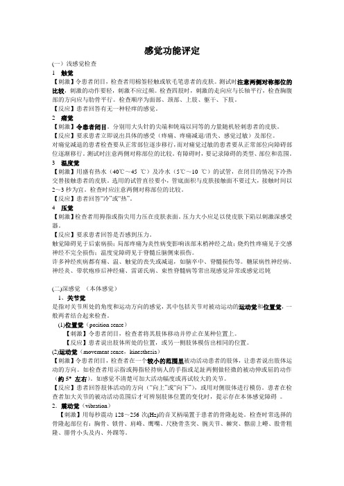 一、感觉功能评定