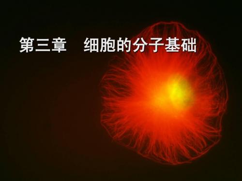 细胞生物学——第三章  细胞的分子基础
