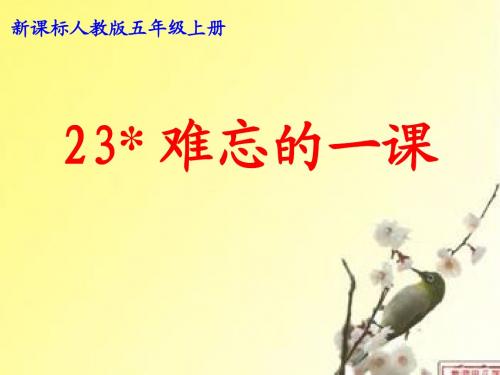 23难忘的一课PPT课件