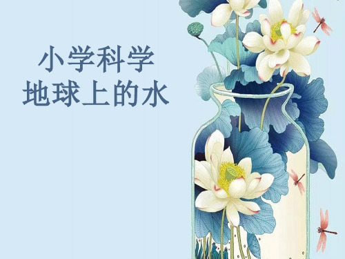 地球上的水