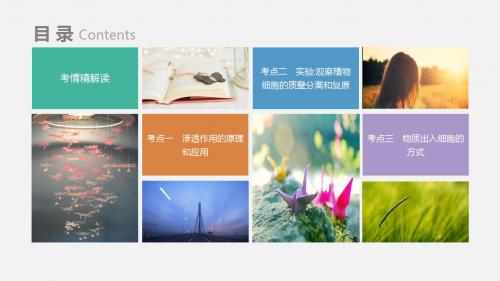 2020届高考生物专项复习讲义课件：3 物质出入细胞的方式(共22张PPT)