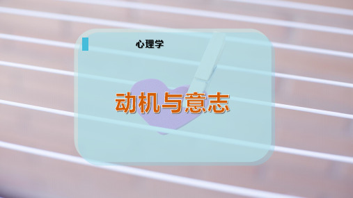 动机与意志