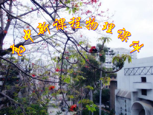 3.1运动的合成与分解(鲁科版物理必修2)