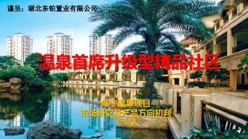 2019咸宁温泉项目市场研究及产品方向初判80P-文档资料
