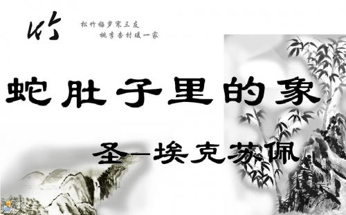 蛇肚子里的象