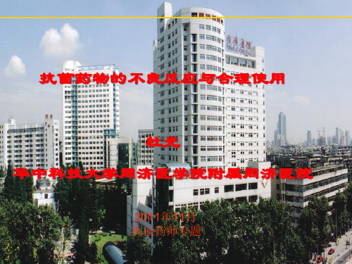 抗菌药物的不良反应与合理用药(执业药师)