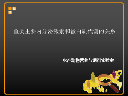 环境温度和蛋白质水平对鱼类生长和代谢的影响