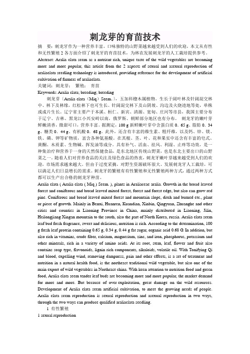 刺龙芽的育苗技术