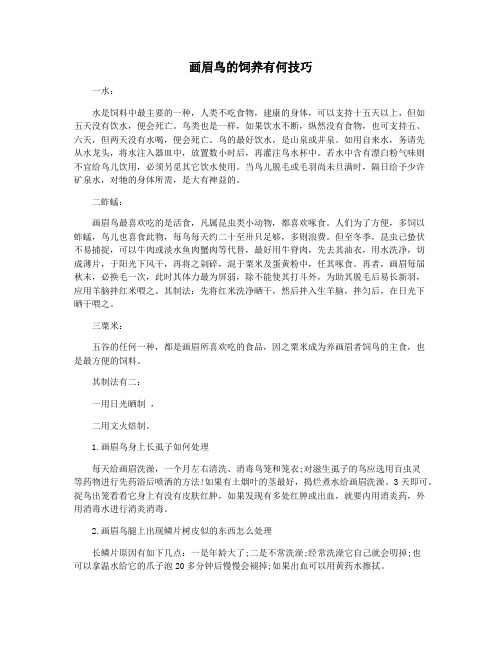 画眉鸟的饲养有何技巧
