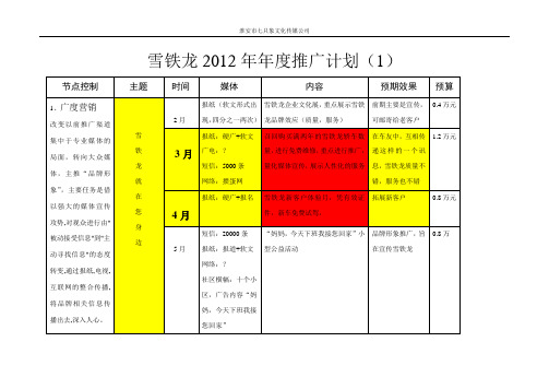 雪铁龙年度推广方案(完整版)