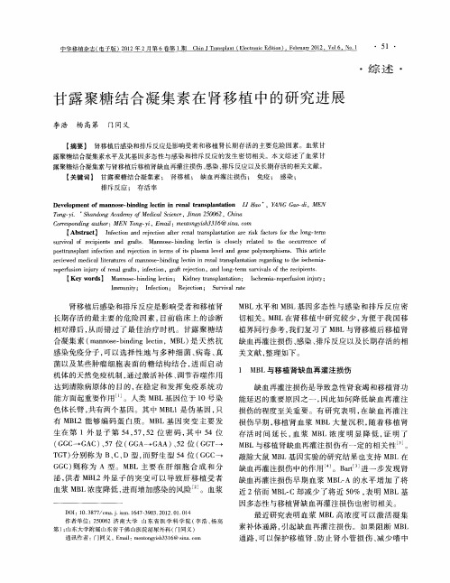 甘露聚糖结合凝集素在肾移植中的研究进展