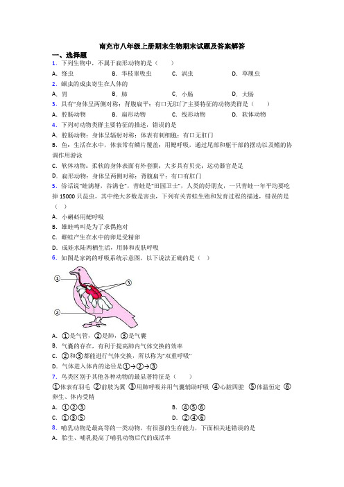 南充市八年级上册期末生物期末试题及答案解答