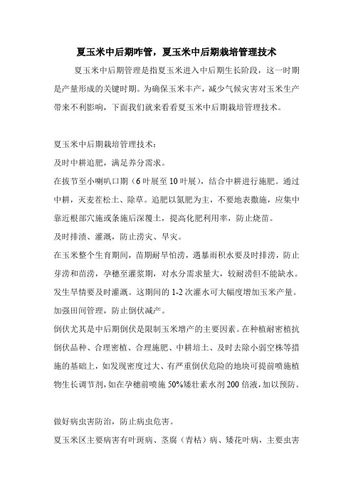 夏玉米中后期咋管,夏玉米中后期栽培管理技术.doc