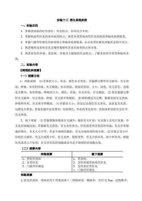 实验十三 消化系统疾病