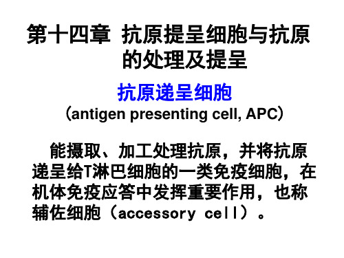 第十四章 抗原提呈细胞与抗原的处理及提呈—抗原递呈细胞