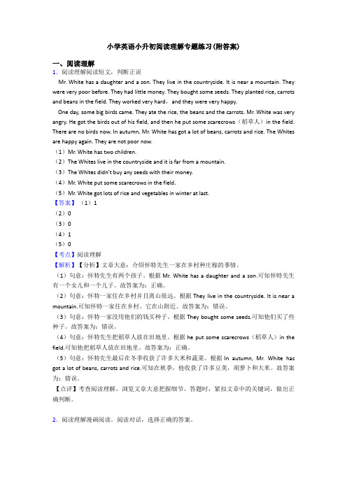 小学英语小升初阅读理解专题练习(附答案)