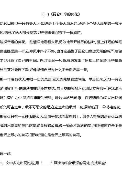 小学六年级语文下册孩子阅读能力提高训练题(含答案)