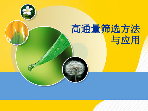 [优秀]高通量筛选方法与应用PPT资料