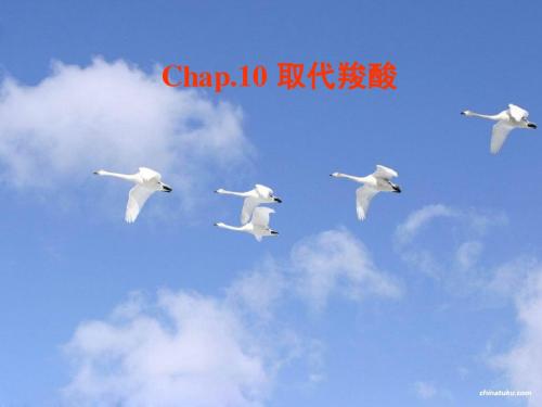 Chap.10 取代酸