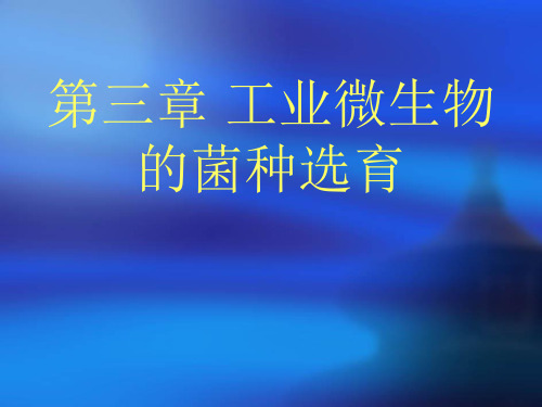 第三章发酵工艺学