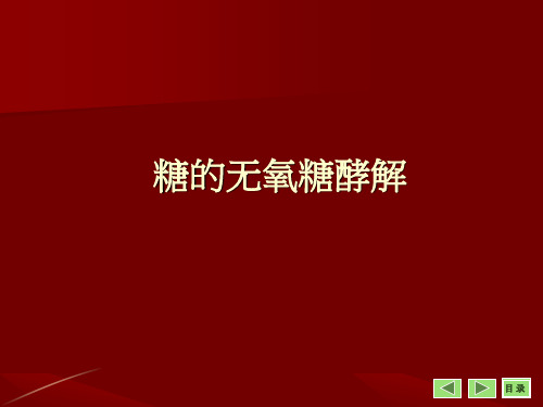 大学生物化学课件 糖的无氧糖酵解