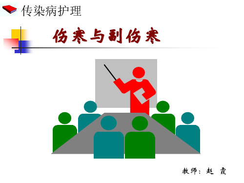 伤寒副伤寒