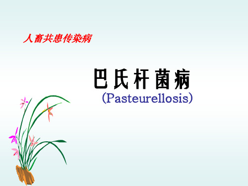 巴氏杆菌