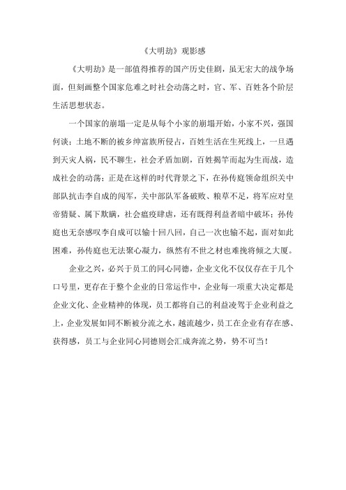 大明劫观影感