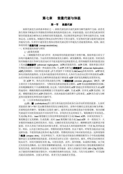 生理学第七版校对版-能量代谢