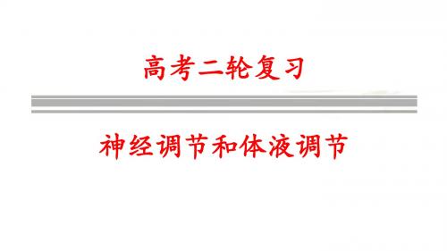 高三生物二轮复习神经调节和体液调节