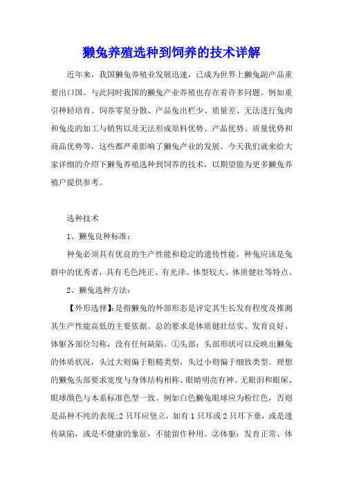 獭兔养殖选种到饲养的技术详解