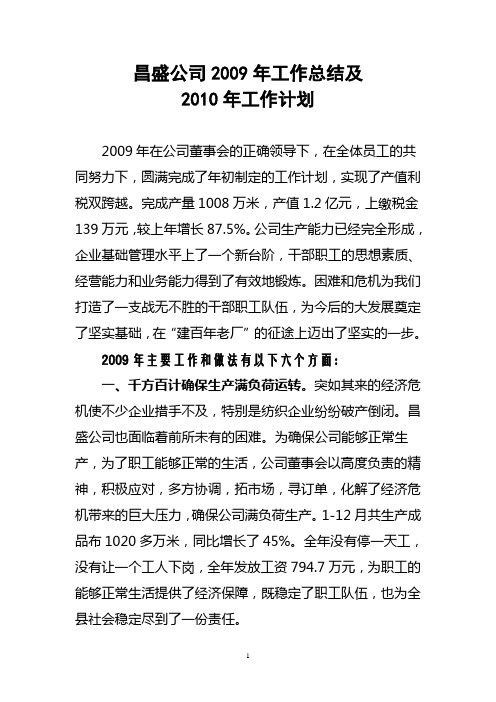 昌盛公司2009年工作总结及2010年工作计划