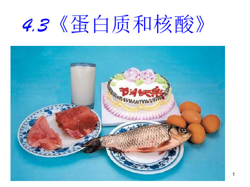 人教版选修5-《蛋白质和核酸》(完整版)
