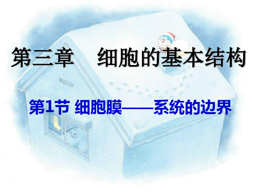 人教版生物必修一31《细胞膜——系统的边界》课堂授课优秀PPT