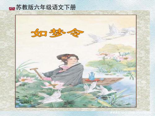 苏教版六年级下册语文《词两首—如梦令》课件PPT
