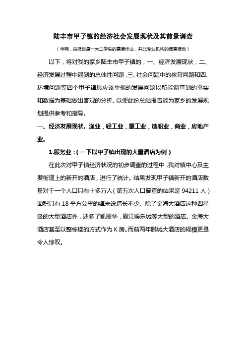 陆丰市甲子镇的经济社会发展现状及其前景调查1