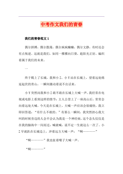 中考作文我们的青春