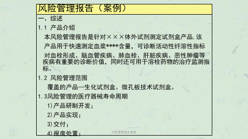风险管理报告案例课件